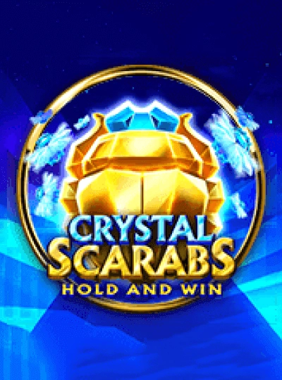 zl99 zl99